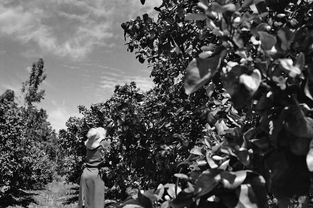MARIEJEANNE creates unique fragrances by selecting the finest raw materials available in the nature. Raw materials are valued by transcribing their real scents. The composition is then simplified, focusing on the essential.
